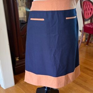 Elegant Two-Tone Skirt